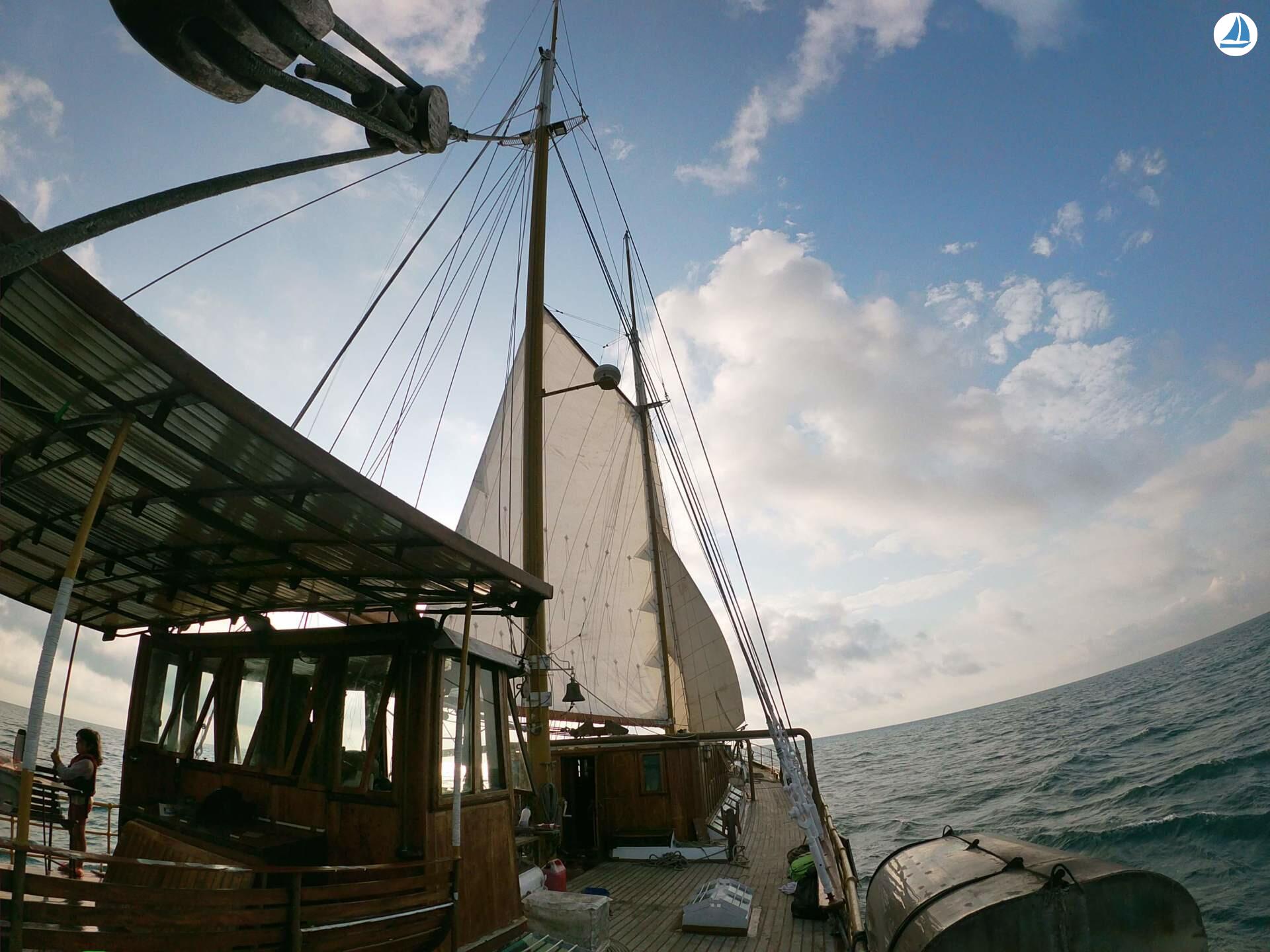 foto Astillero Roncallo, Genova 1886 17
